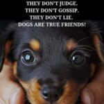 Profile picture of Paul Victor